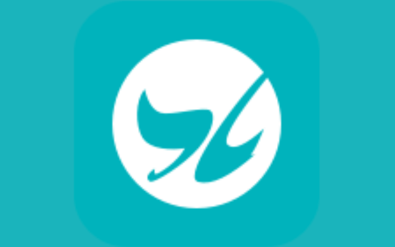 厦门卫视封面图